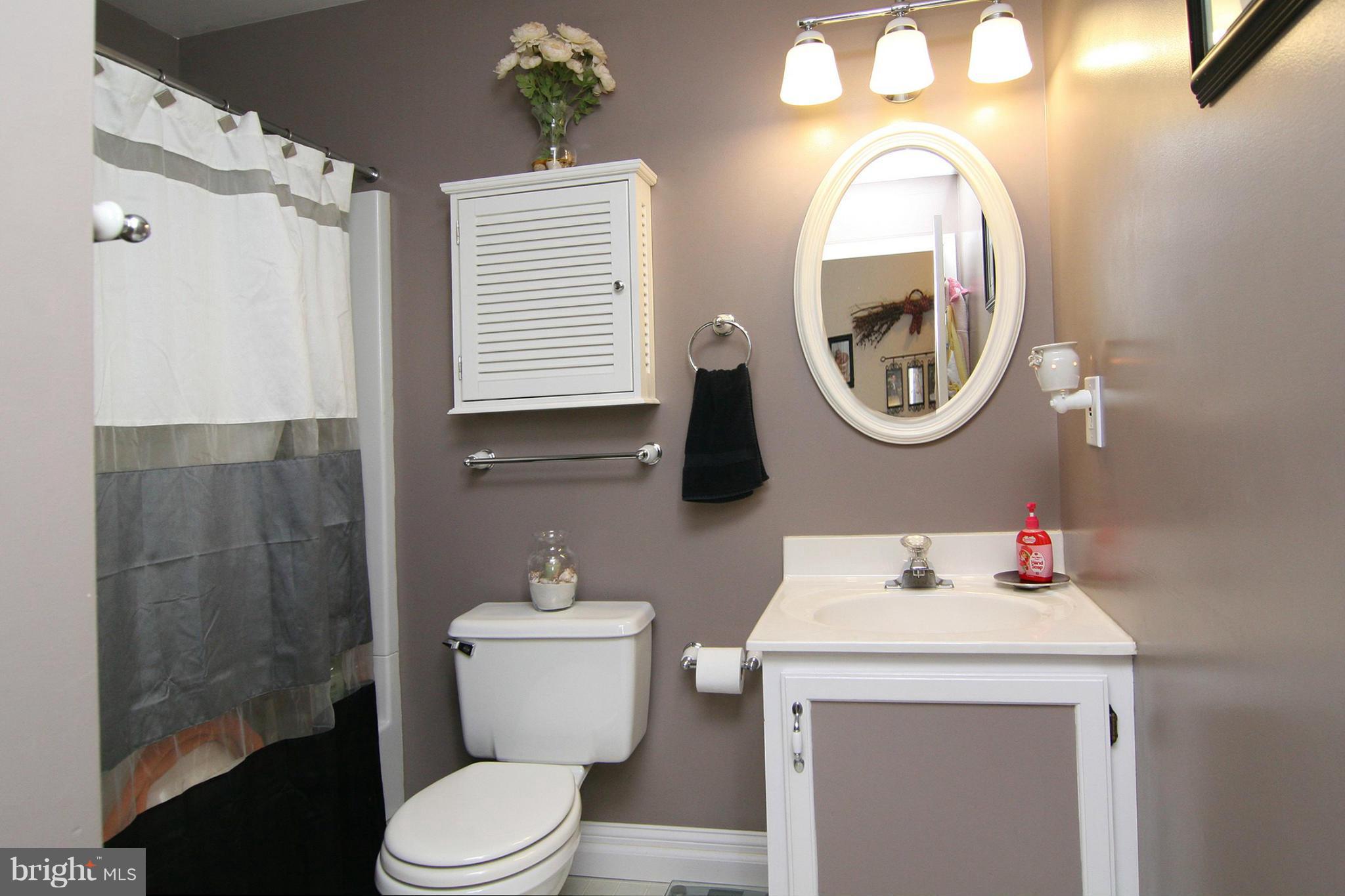 3200 Atlee Ridge Road New Windsor, MD 21776 - Photo 8 of 19 a bathroom with a toilet a sink and a mirror