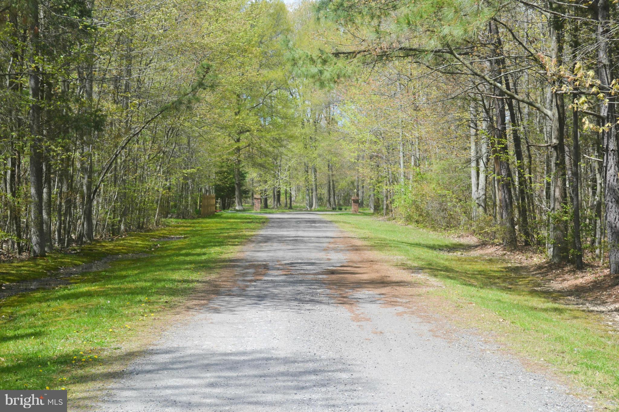 5180 Chalk Point Road West River, MD 20778 - Photo 21 of 24 Nice private drive approach