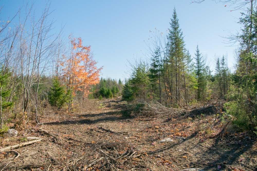 1 Fire Road Linneus, ME 04730 - Photo 14 of 16 Photo