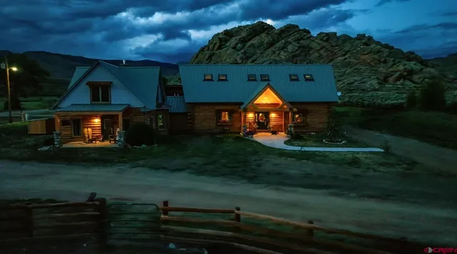 a view of a big yard and a large tree