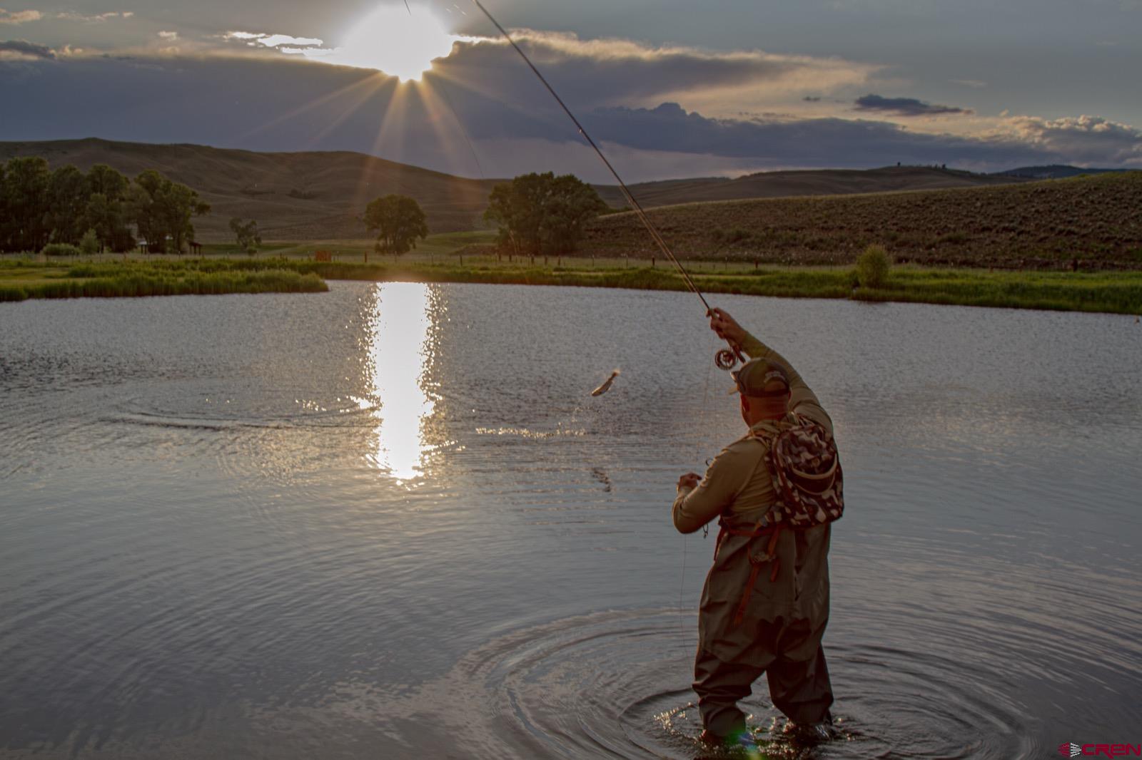 5291 County Road 76 Parlin, CO 81239 - Photo 12 of 42