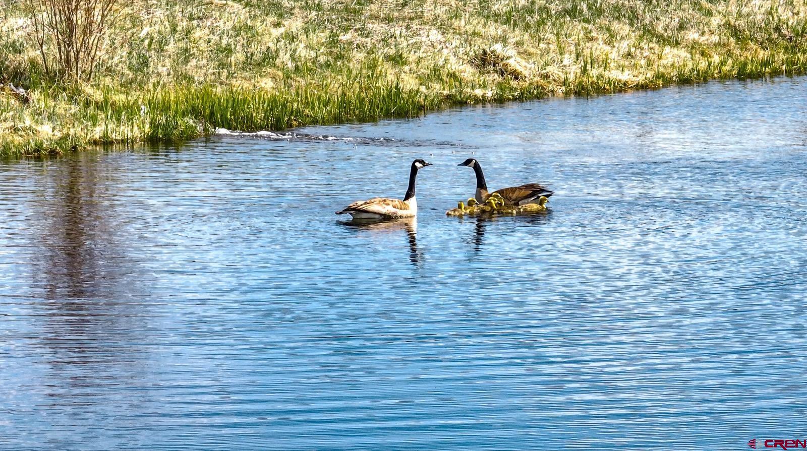 5291 County Road 76 Parlin, CO 81239 - Photo 17 of 42