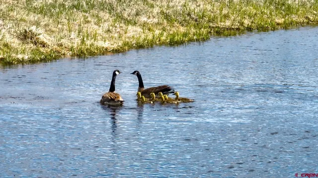 a view of a bench in the patio