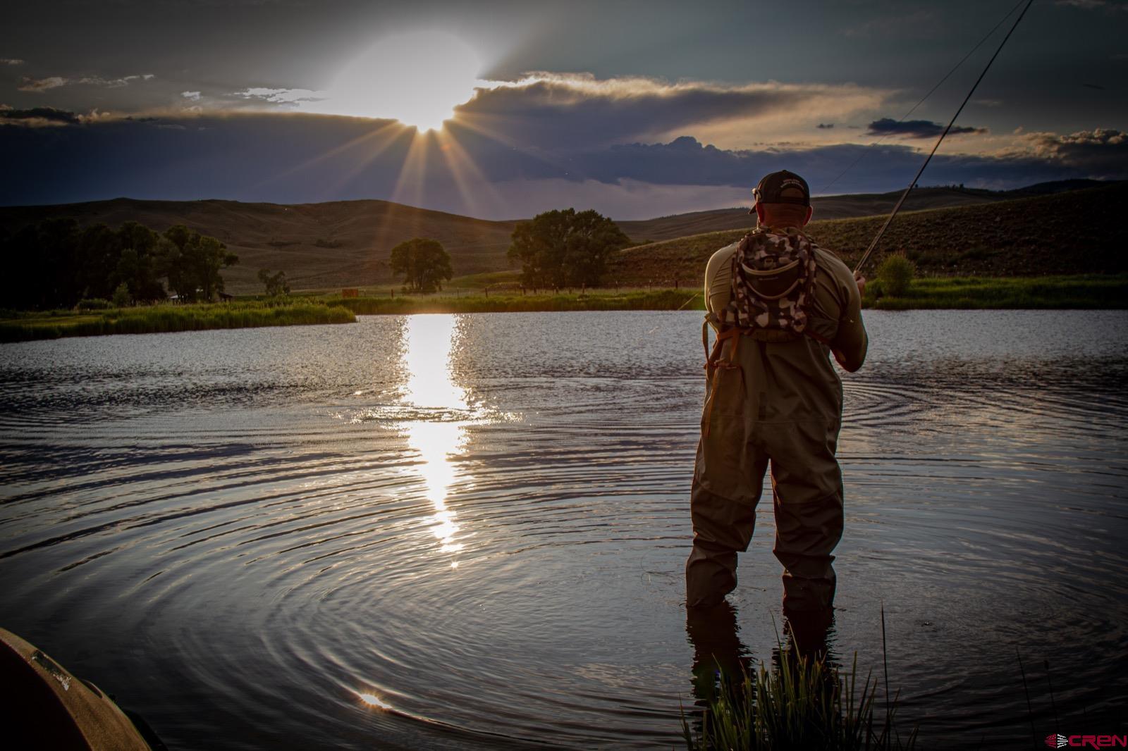 5291 County Road 76 Parlin, CO 81239 - Photo 4 of 45