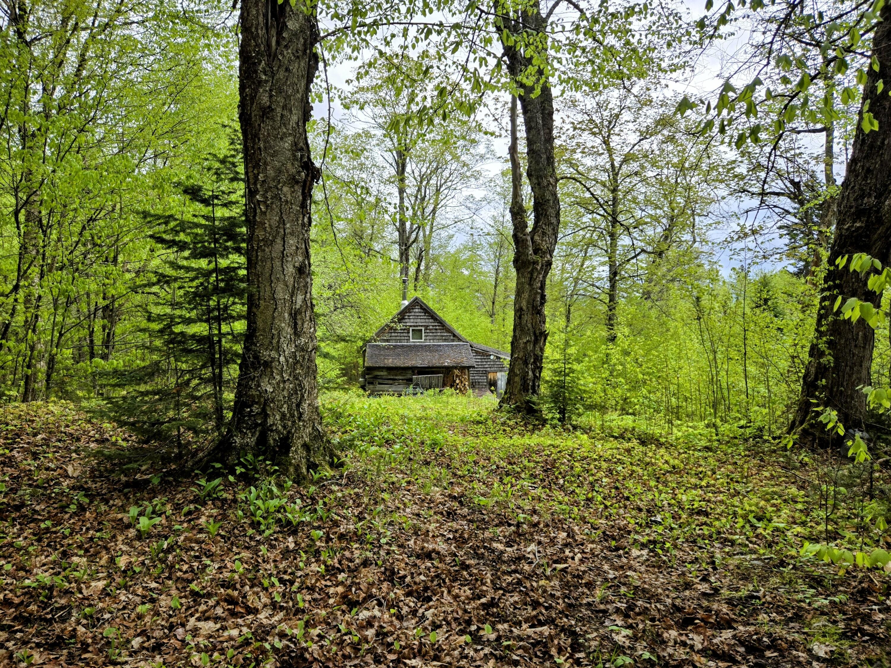 35 Off Kennebago Road Eustis, ME 04936 - Photo 2 of 39 Camplot and Cabin in Eustis