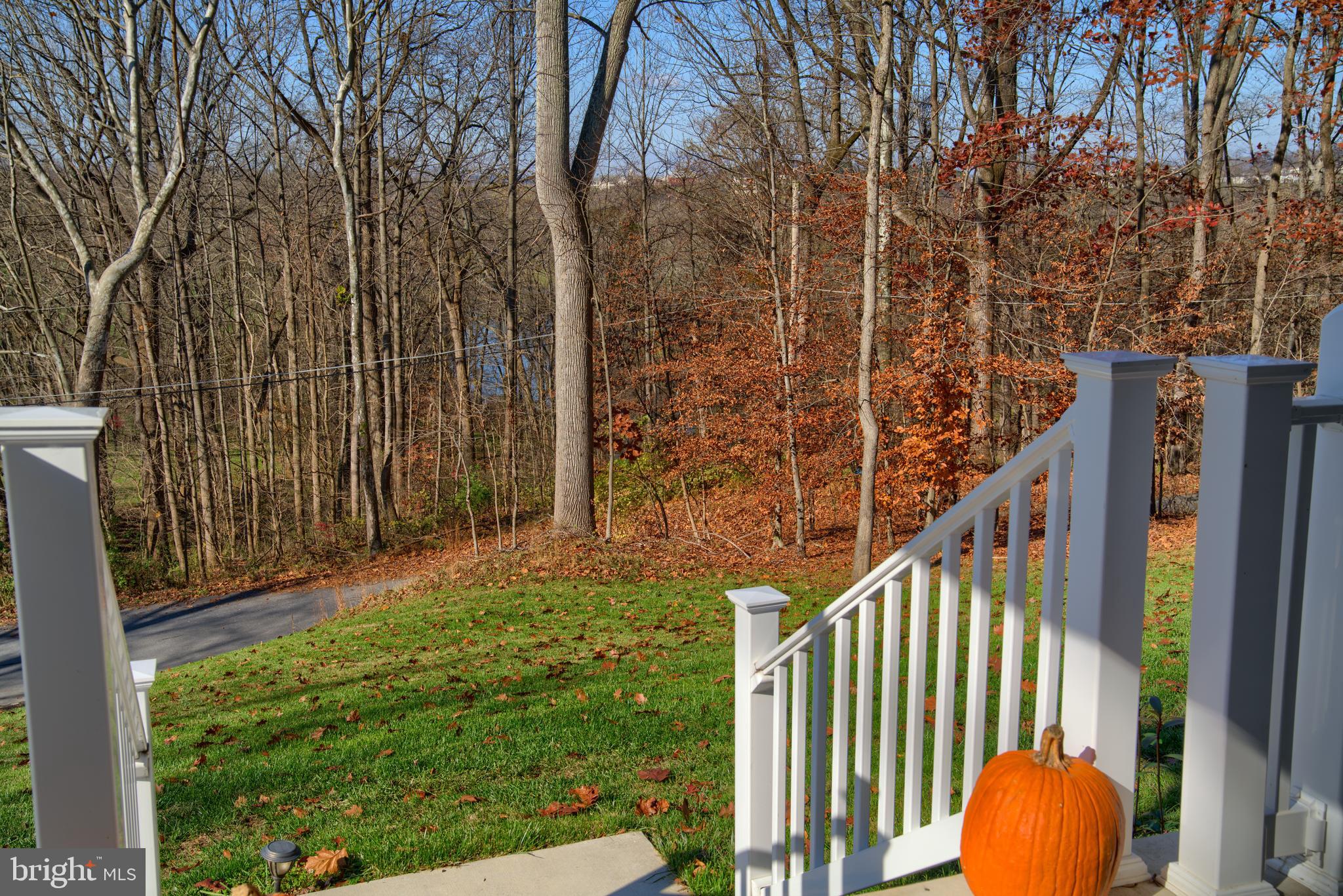 2731 Monocacy Bottom Road Adamstown, MD 21710 - Photo 53 of 63 Gallery Image 53