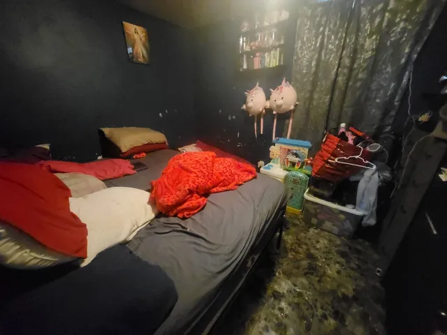 a living room with furniture a rug and a window