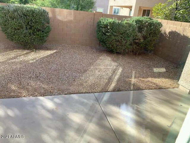 a view of backyard with plants