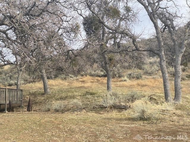 20546 Darsy Road Tehachapi, CA 93561 - Photo 4 of 8 Gallery Image 4