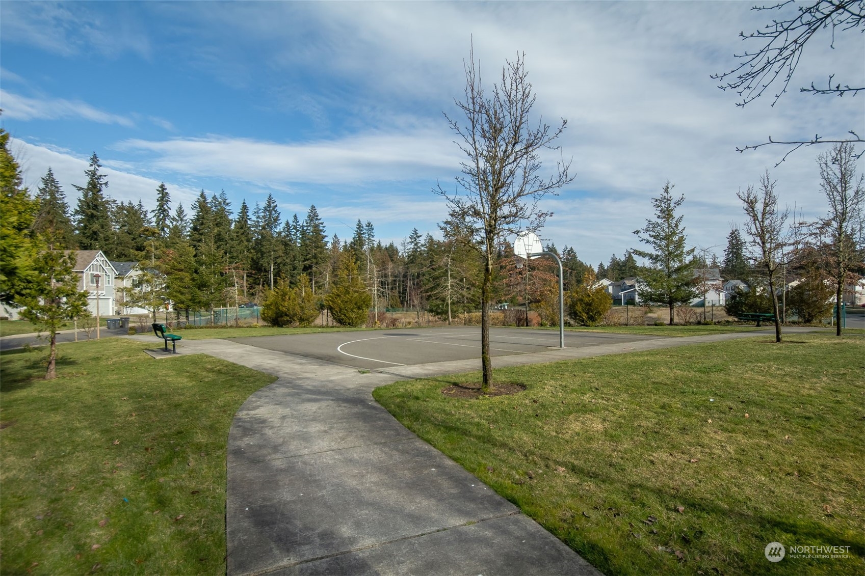 4644 Chanting Circle Southwest Port Orchard, WA 98367 - Photo 25 of 26 a tall tree in middle of a field