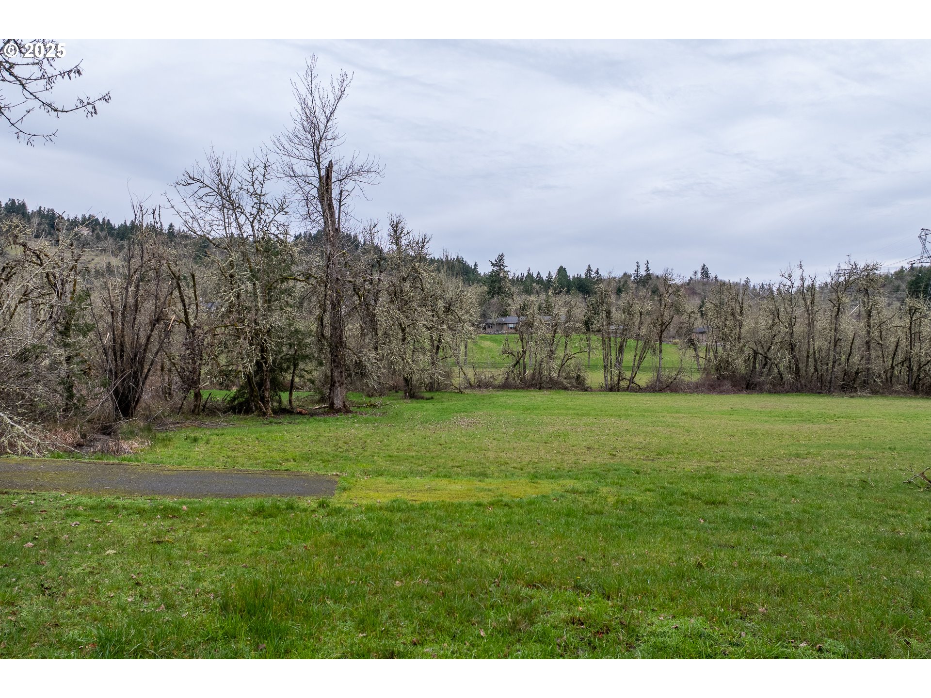 Hidden Meadows Drive Eugene, OR 97405 - Photo 11 of 15 a grassy field with trees in the background