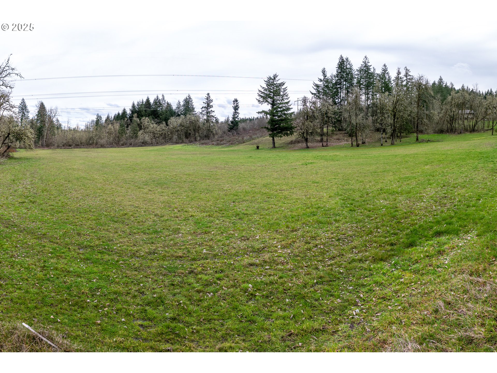 Hidden Meadows Drive Eugene, OR 97405 - Photo 14 of 15 a view of a green field with trees in the background