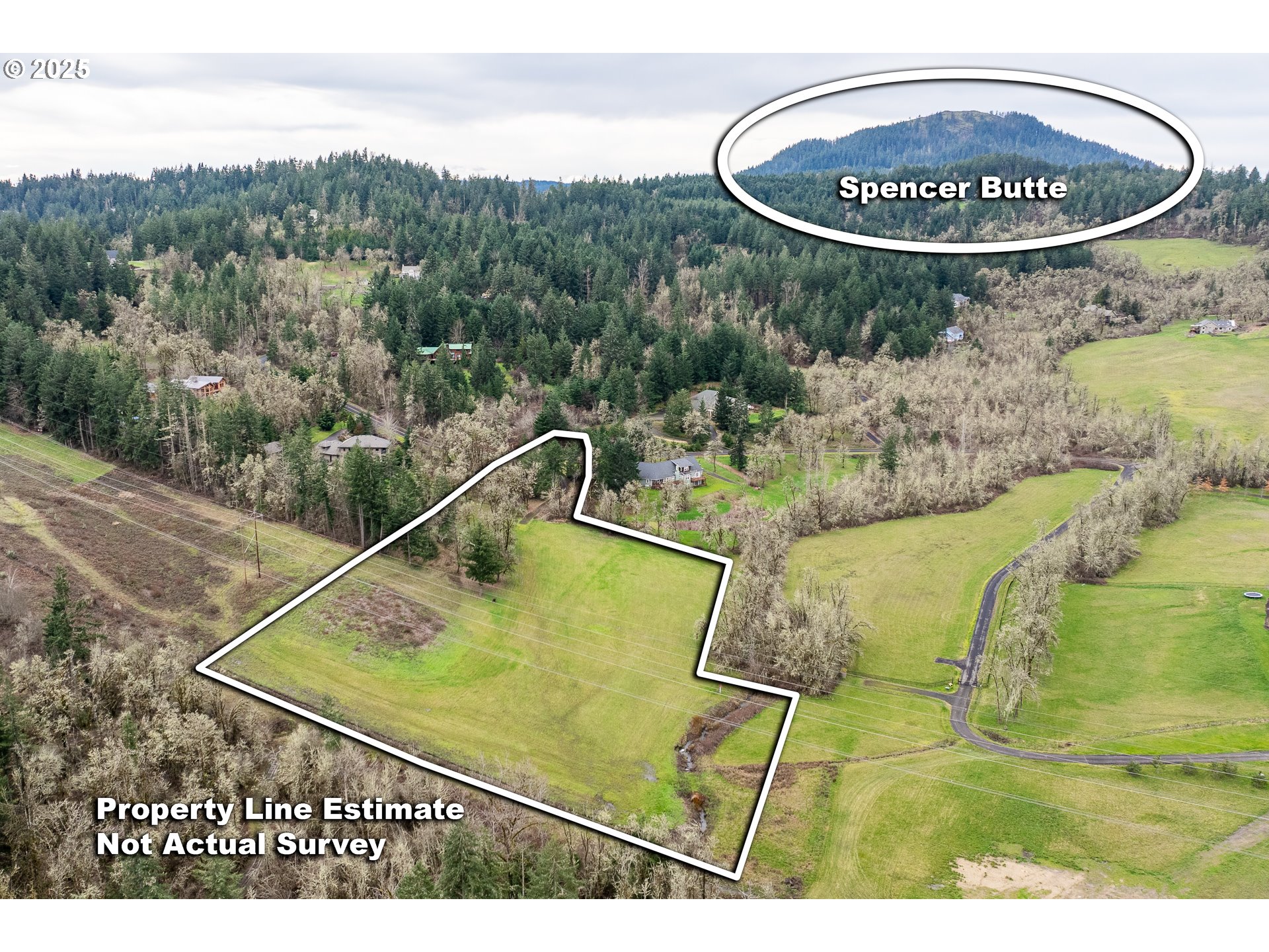 Hidden Meadows Drive Eugene, OR 97405 - Photo 4 of 15 a view of a swimming pool with a yard