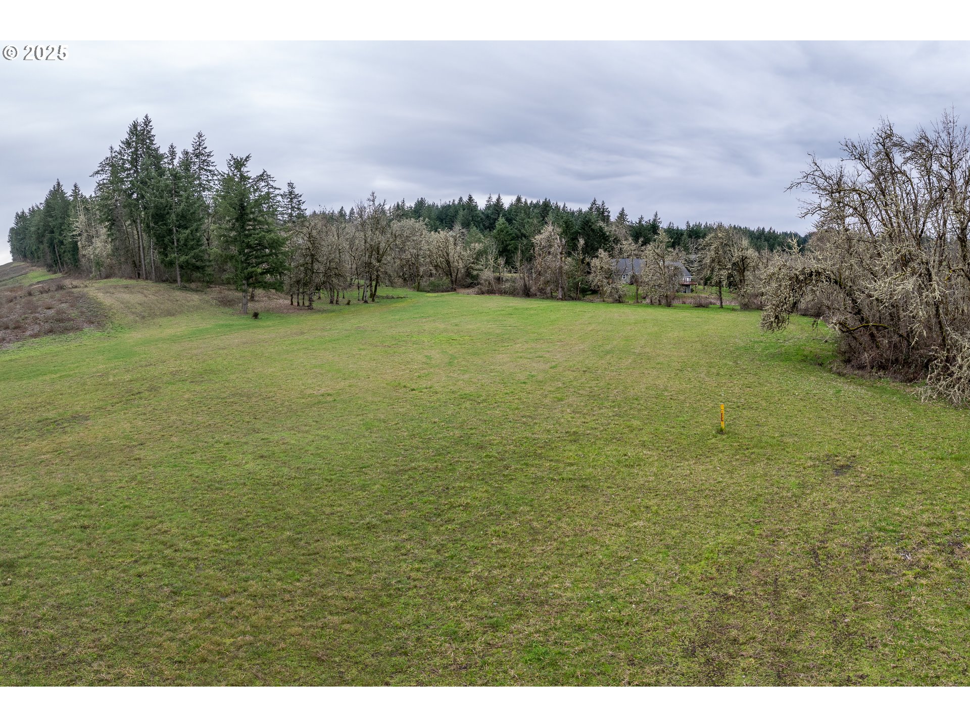 Hidden Meadows Drive Eugene, OR 97405 - Photo 8 of 15 a view of a field with an trees in the background