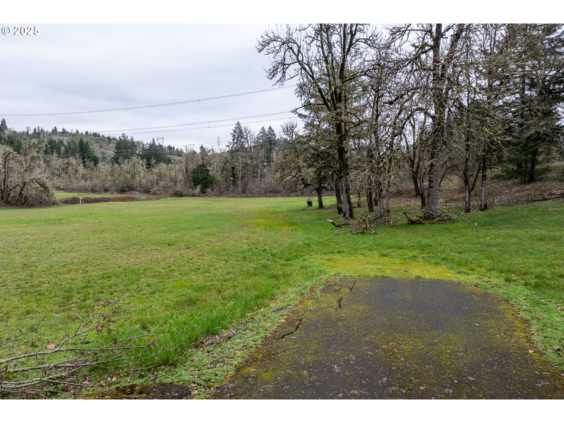 Hidden Meadows Drive Eugene, OR 97405 - Photo 10 of 15 a view of field with tall trees