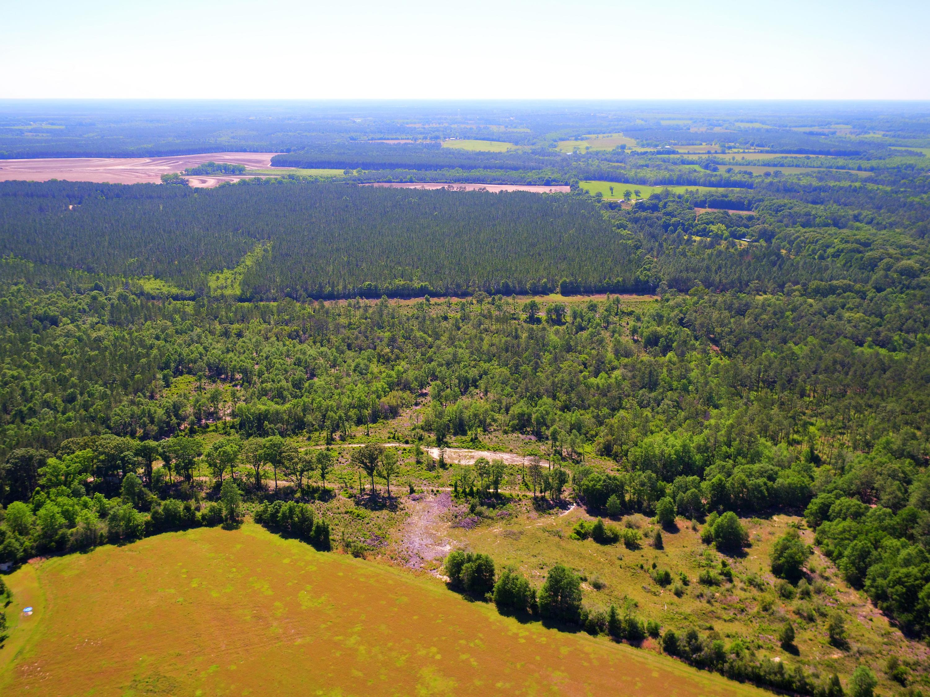 716 Wallace Road DeFuniak Springs, FL 32433 - Photo 32 of 48 an aerial view of ocean and residential houses with outdoor space