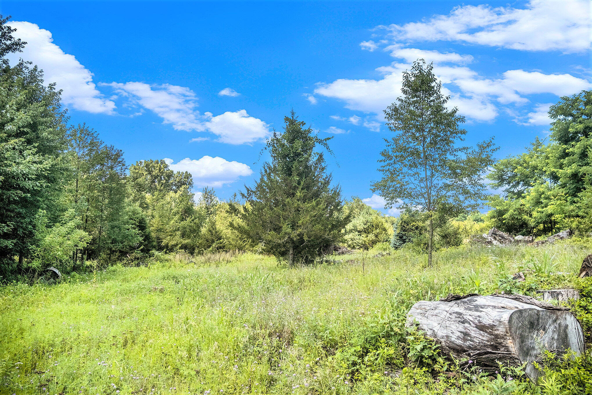 2035 Jefferson Road Clarklake, MI 49234 - Photo 13 of 14 013_file_240