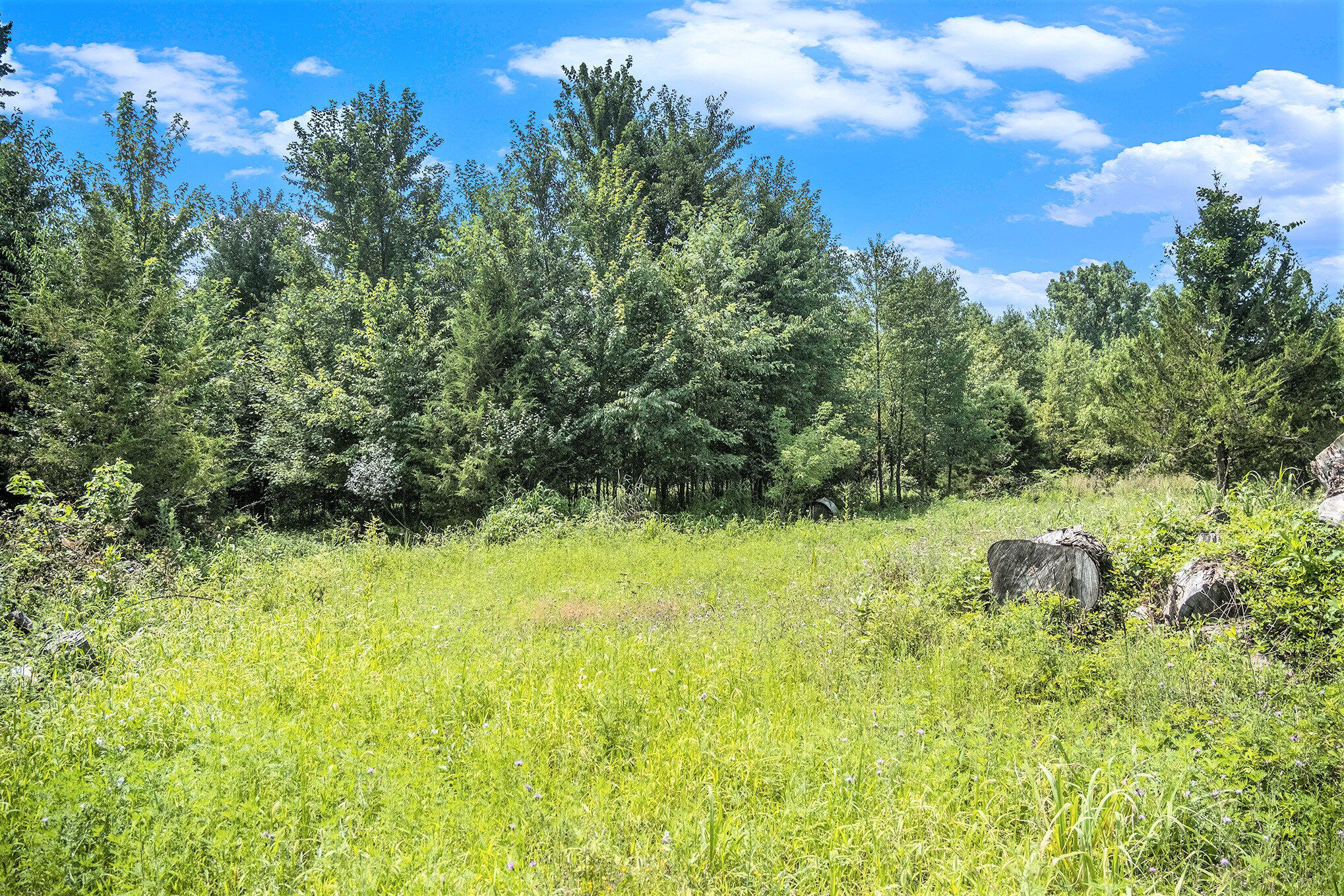 2035 Jefferson Road Clarklake, MI 49234 - Photo 10 of 14 010_file_119