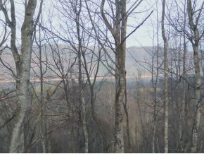 Tbd Dry Hill Road Butler, TN 37640 - Photo 3 of 11 Photo 3