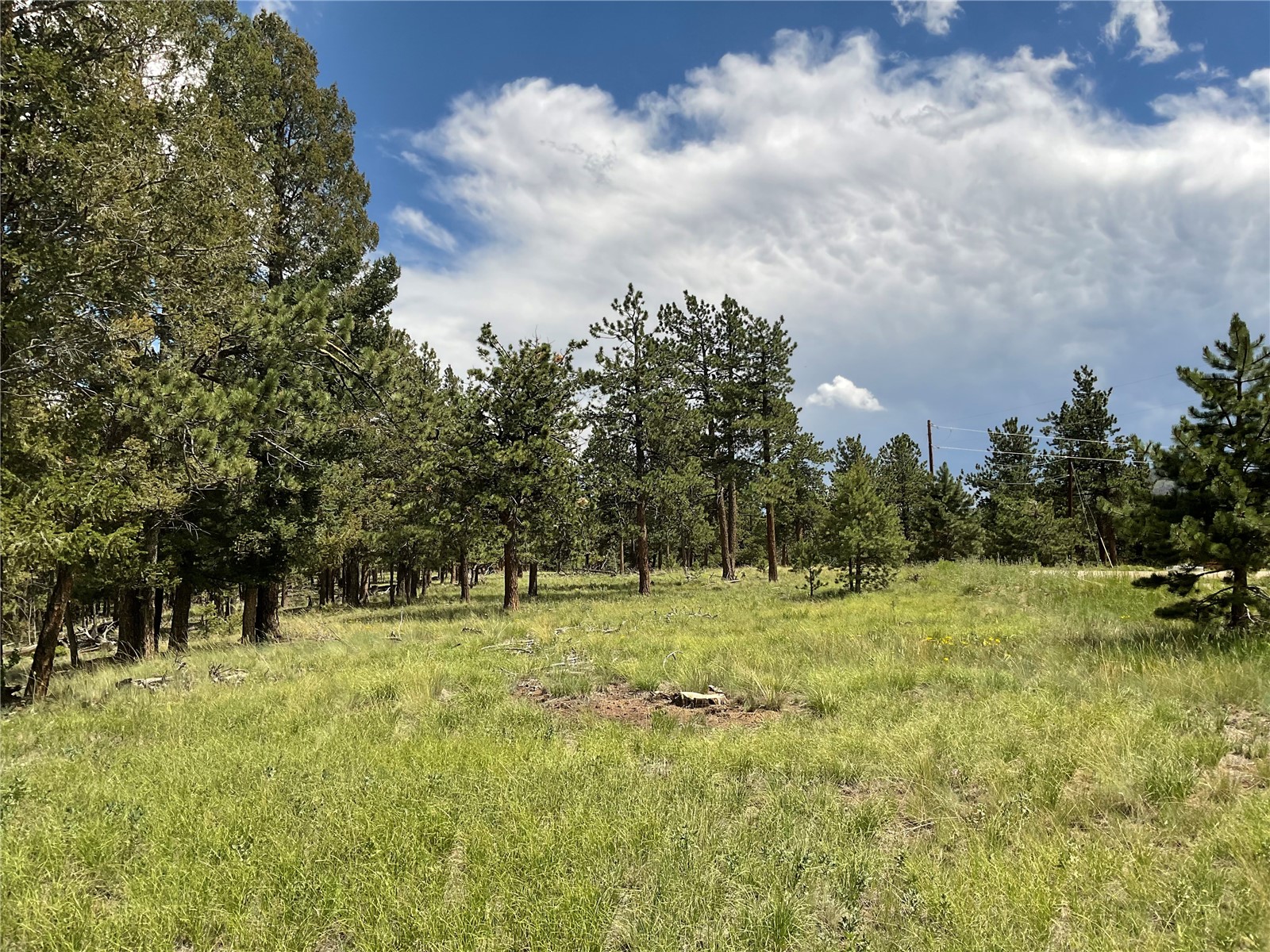 1970 Singletree Road Hartsel, CO 80449 - Photo 11 of 17 Gallery Image 11