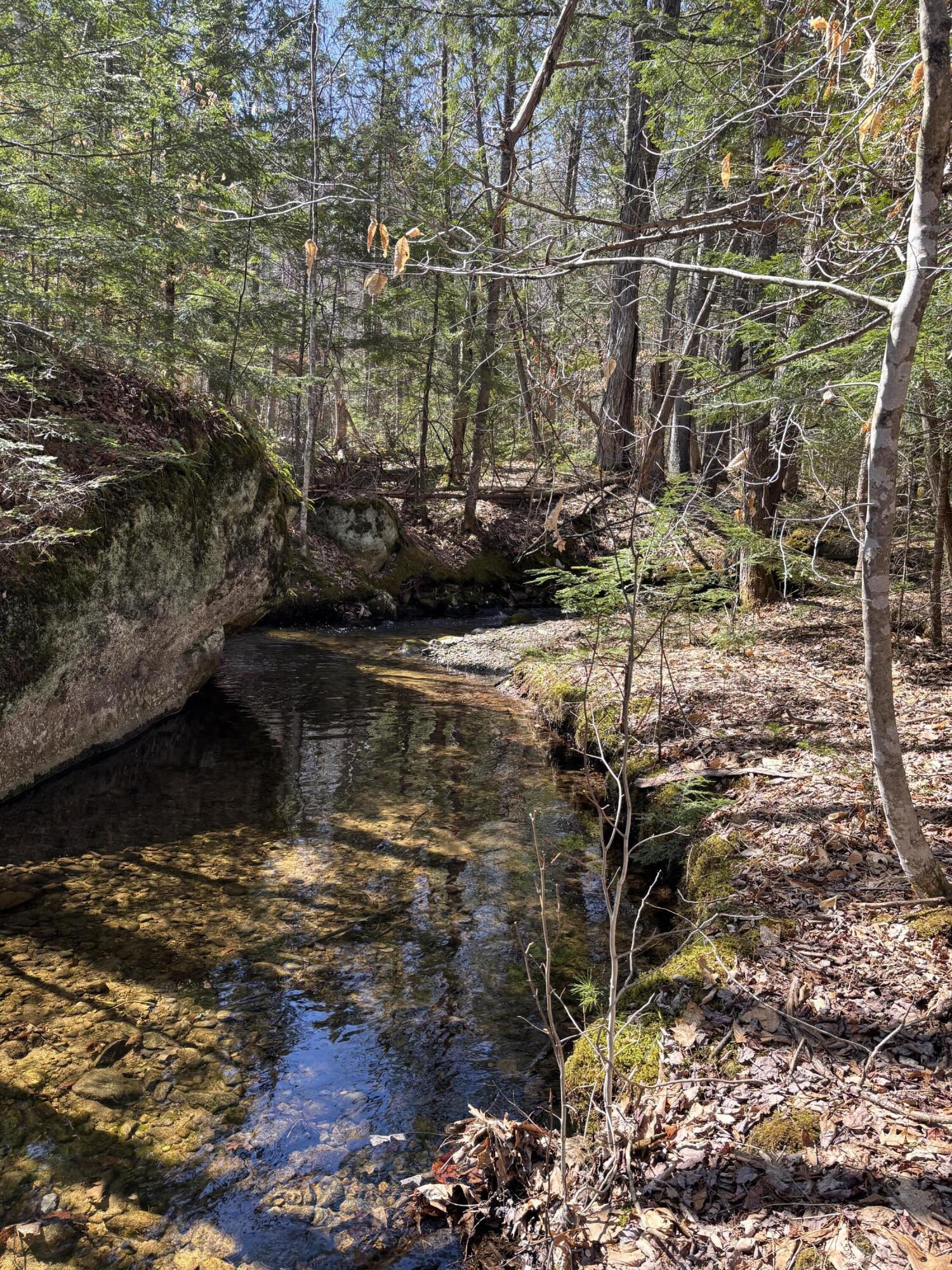 86 Mccrillis Brook Road Bethel, ME 04217 - Photo 36 of 41 IMG_6320