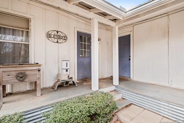 a view of a yard with plants and trees