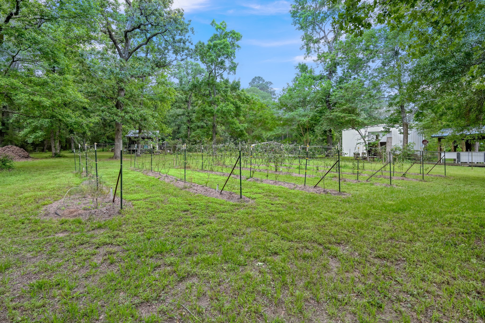 197 Sunset Lake Road Huntsville, TX 77340 - Photo 34 of 50