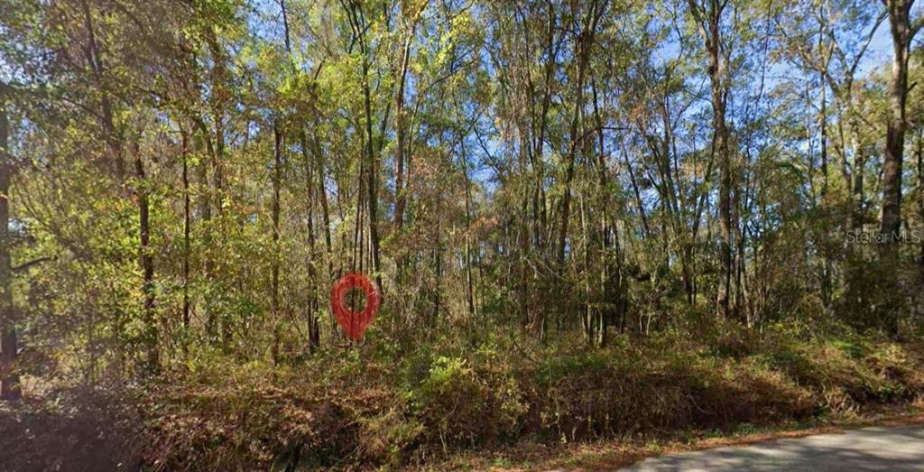 Iamonia Landing Road Tallahassee, FL 32312 - Photo 1 of 4
