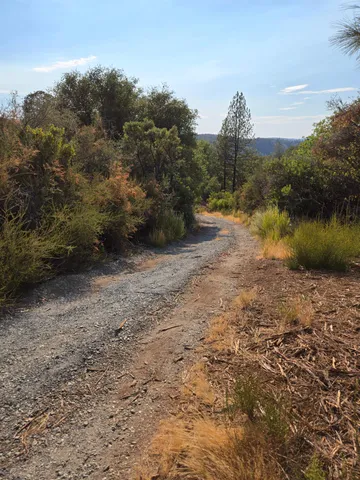 a front view of house