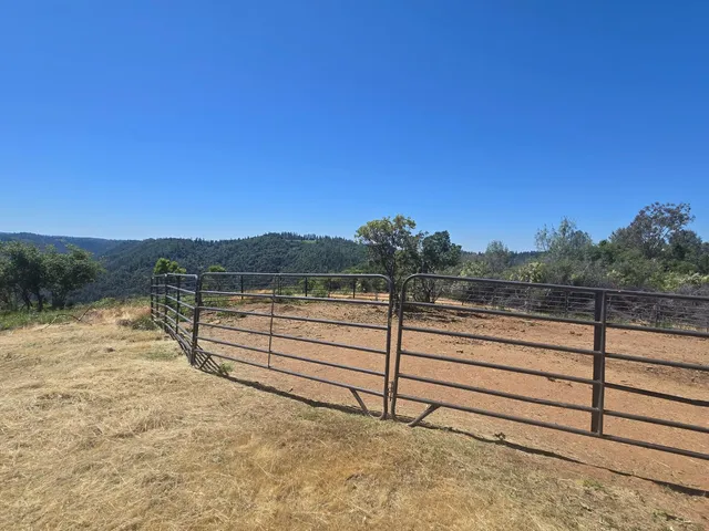 a view of a back yard of the house