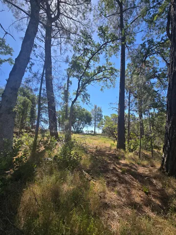 a view of a lush green field with mountains in the background