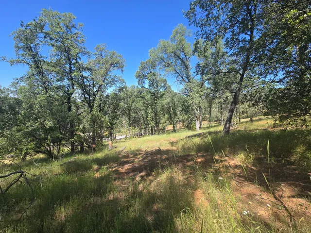 a view of a town with trees in the background
