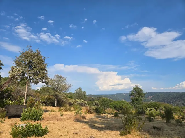 a view of a yard with snow on the road