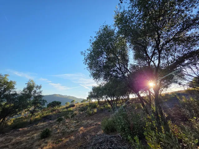 a view of a yard with wooden floor and mountain view