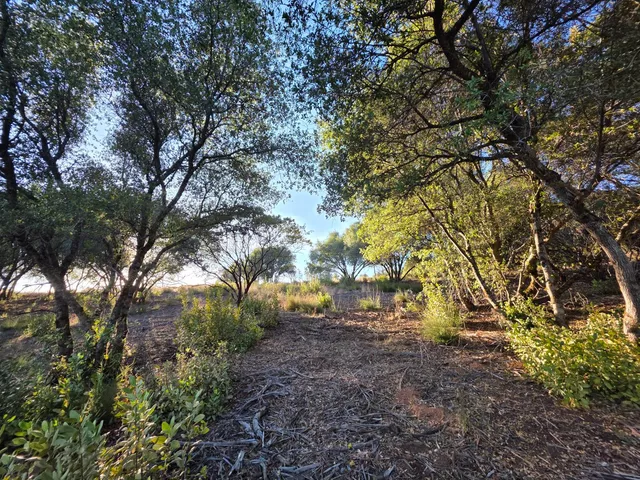 a view of a lake and mountain