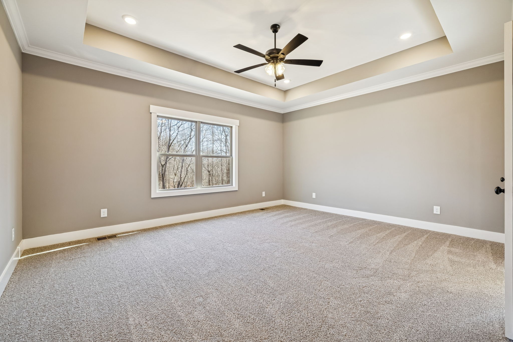 1183 Hangar Road Springfield, TN 37172 - Photo 29 of 69 an empty room with ceiling fan and windows