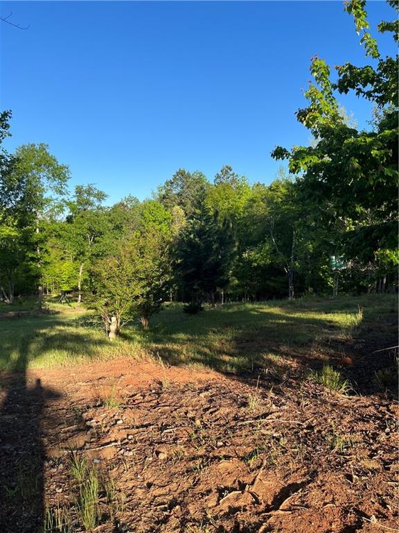 271 Pebble Hill Road Southeast Milledgeville, GA 31061 - Photo 4 of 8 a view of a lake from a yard