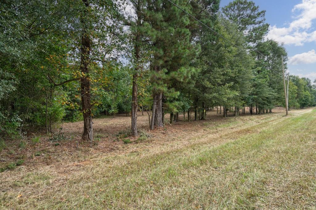 0 Parks Mill Road Buckhead, GA 30625 - Photo 11 of 34 a view of outdoor space with trees