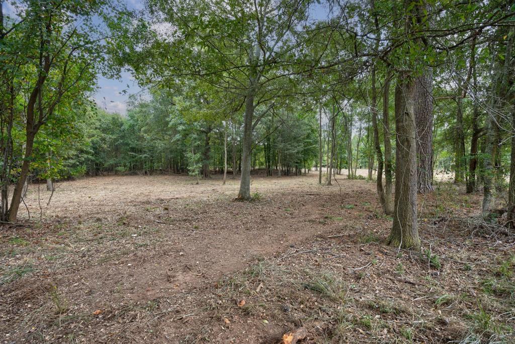 0 Parks Mill Road Buckhead, GA 30625 - Photo 12 of 34 a view of a forest with trees in the background