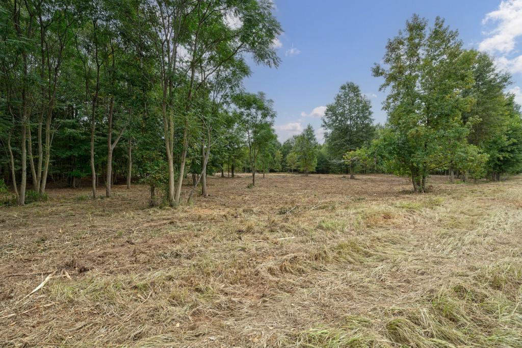 0 Parks Mill Road Buckhead, GA 30625 - Photo 13 of 34 a view of outdoor space with trees