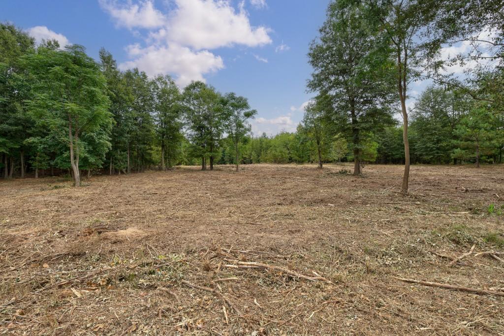 0 Parks Mill Road Buckhead, GA 30625 - Photo 14 of 34 a backyard of a house with lots of green space