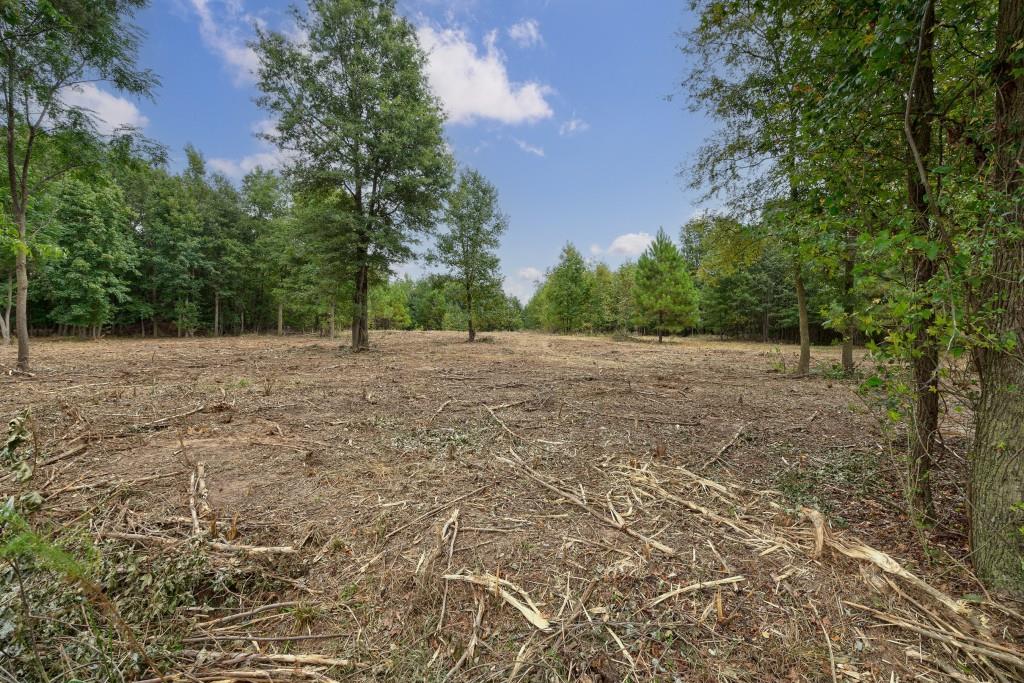 0 Parks Mill Road Buckhead, GA 30625 - Photo 15 of 34