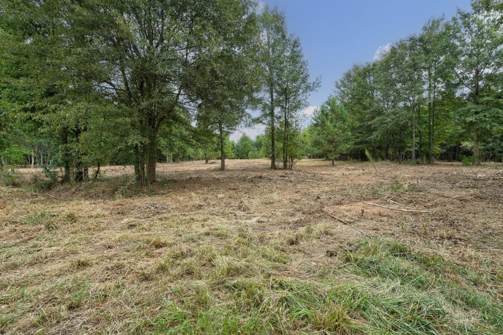 0 Parks Mill Road Buckhead, GA 30625 - Photo 16 of 34 a backyard of a house with lots of green space