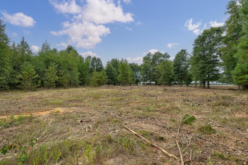 0 Parks Mill Road Buckhead, GA 30625 - Photo 18 of 34 a view of a field with trees in the background