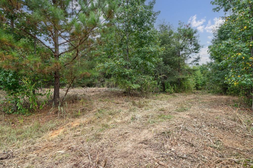 0 Parks Mill Road Buckhead, GA 30625 - Photo 19 of 34 a view of a yard with a tree