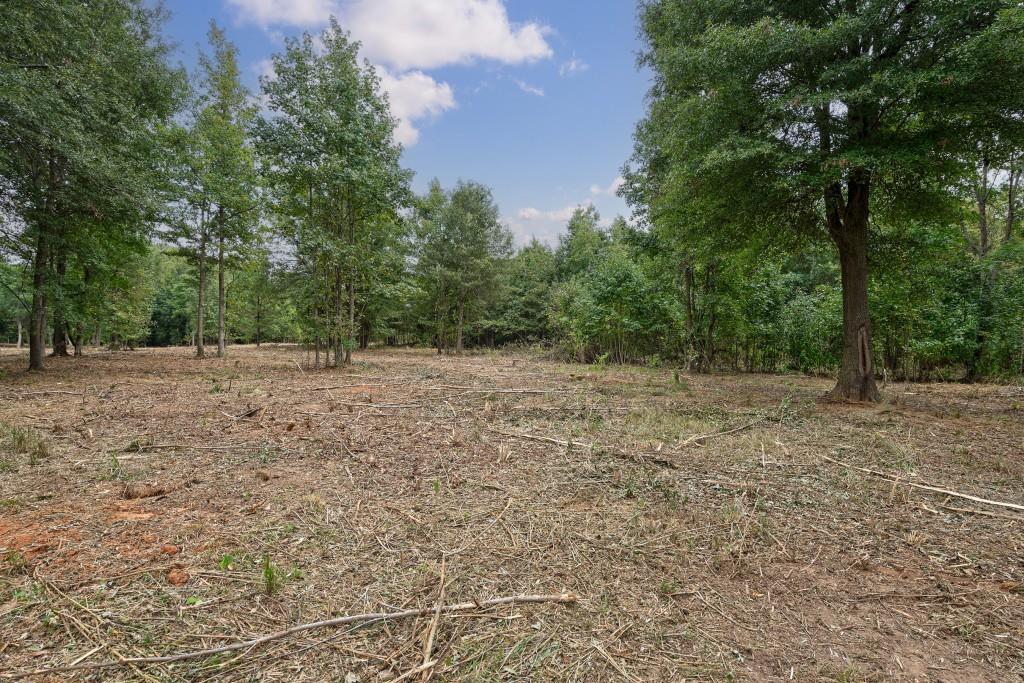 0 Parks Mill Road Buckhead, GA 30625 - Photo 22 of 34 a view of backyard with green space