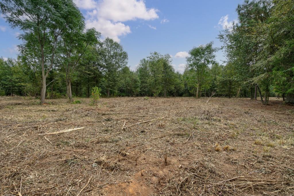 0 Parks Mill Road Buckhead, GA 30625 - Photo 23 of 34 a view of a field with trees in the background