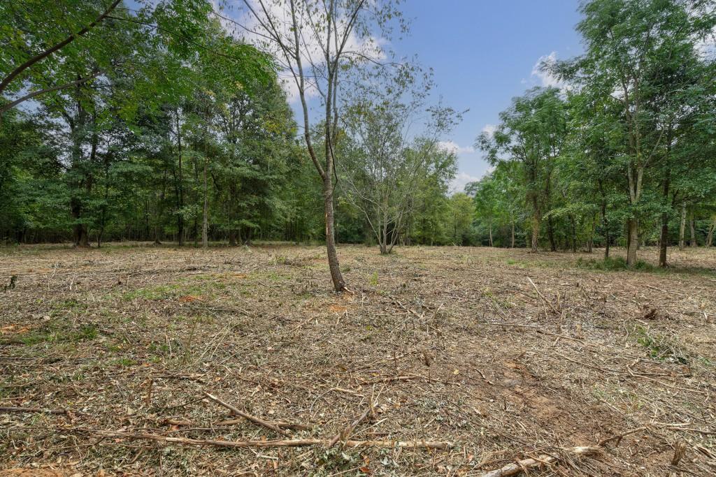 0 Parks Mill Road Buckhead, GA 30625 - Photo 25 of 34 a backyard of a house with lots of trees