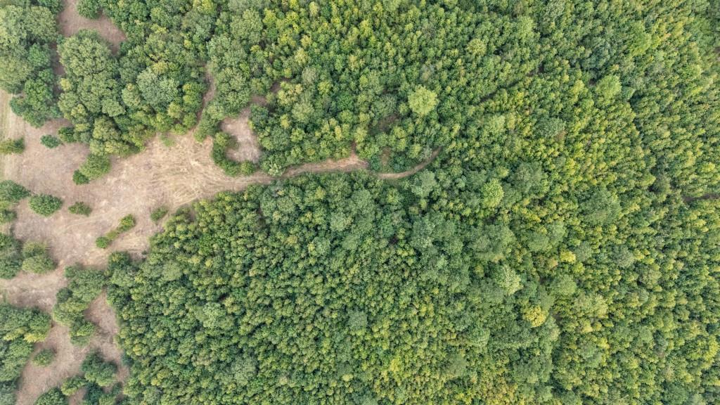 0 Parks Mill Road Buckhead, GA 30625 - Photo 27 of 34 a view of a lush green field