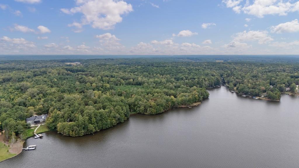 0 Parks Mill Road Buckhead, GA 30625 - Photo 8 of 34 a view of a garden with mountain